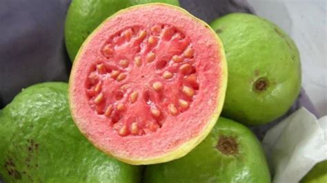 Guava meyvesi tadı